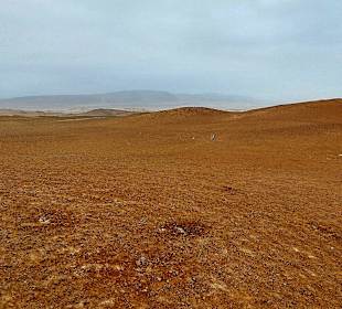 Nationalreservat Paracas