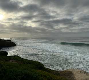 Küste La Jolla