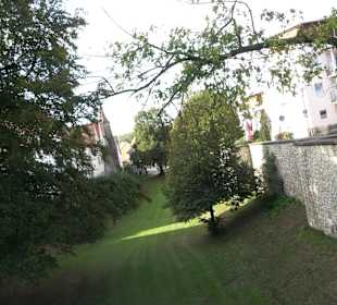 Stadtgraben mit Turm