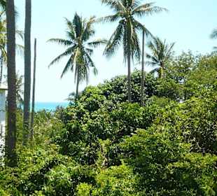 Nong Garküche Ausblick beim Essen