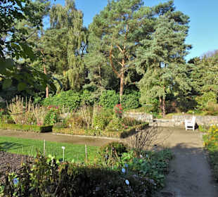 Rundgang durch den Botanischen Garten Hamburg