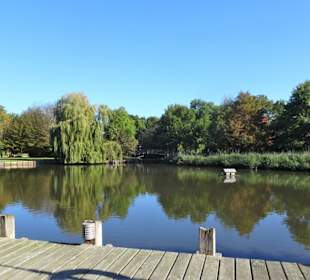 Spaziergang durch den Godewindpark