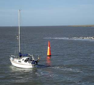 Vorbei an den Seehundbänken von Norderney
