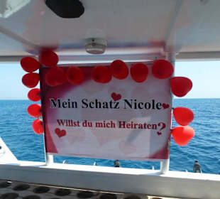 Das Bild sagt ja selbst was los war