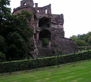 Heidelberger Schloss - 7