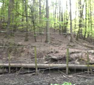 Walderlebnisweg Rottenburg