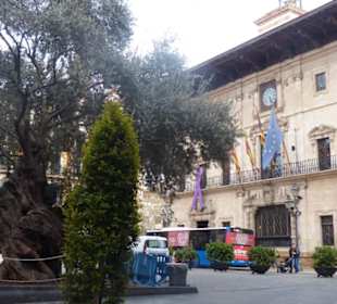 Schöne Gebäude und Fassaden