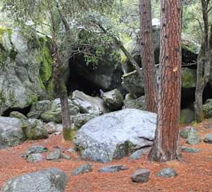 Yosemite Nationalpark