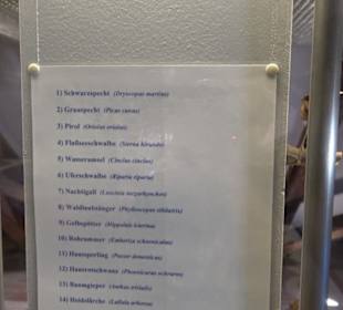 Natur- und Jagdmuseum