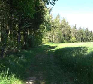 Magolsheimer Buchtalweg
