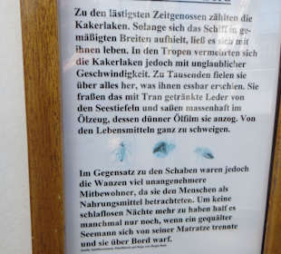 Beschreibung Ungeziefer