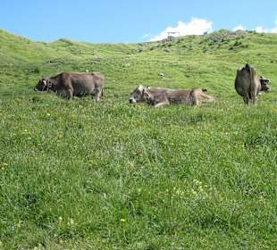 Uns geht es gut / Sommerfrische