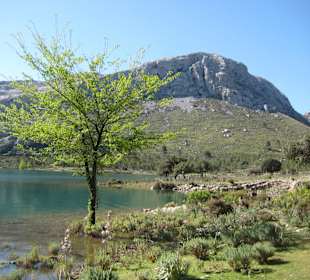 Cuber Stausee