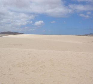 Dünen im Norden der Insel bei Corralejo