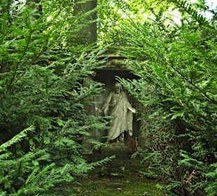 Кладбище Ольсдорф, Гамбург, 16 сентября 2013 года