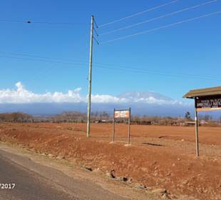 PrivatSafari 10/17 - Tsavo+Amboseli - impressions