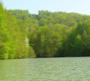 Zielone Wzgórza Nad Soliną