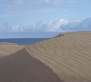Dünen am Meer