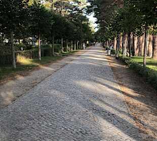 Wandern Binz auf Rügen