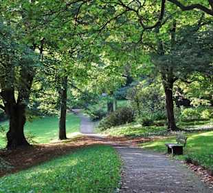 Eindrücke aus dem herbstlichen Knoops Park