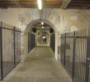 Straßburg im Frühling