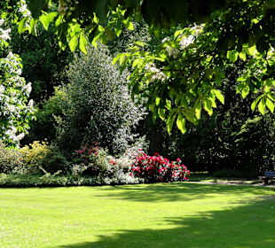 Spaziergang durch den Kurpark