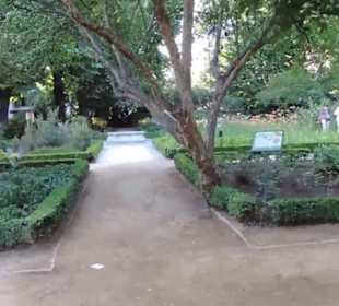 Real Jardín Botánico de Madrid