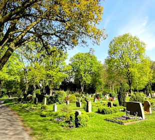 Spaziergang über den Friedhof Riensberg