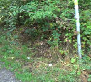 Sophienbrunnen von 1839 