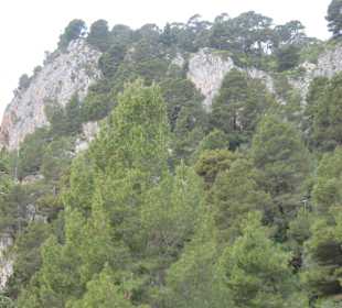 Auf dem Weg zu Arco Naturale