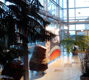  Burgruine Lichtenberg Thallichtenberg Geoskop