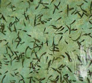 Madeira Lido Osten-Tour 