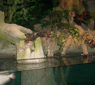 Becken schön dekoriert