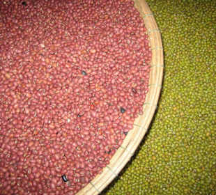 Rote und grüne Bohnen