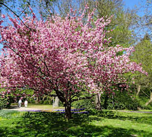 Impressionen vom Rundgang durch den Kurpark