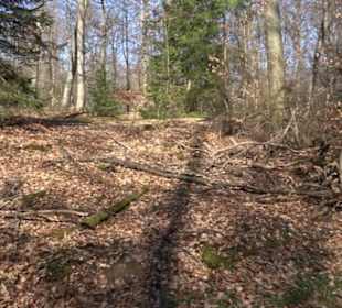 Geschichtlicher Lehrpfad Einsiedel