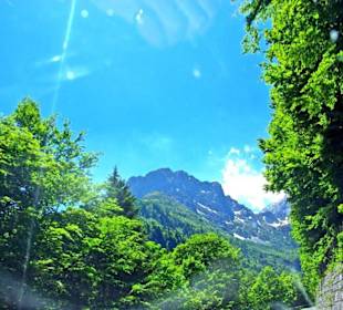 Plöckenpass 2010 die ganze Strecke