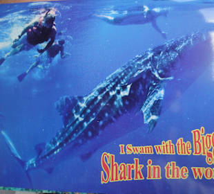 Bestätigung nachher