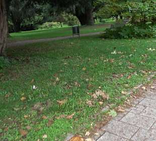 Schlösslepark Kressbronn