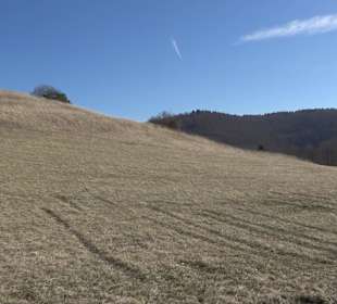 Naturschutzgebiet Meisenbühl