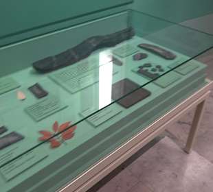 Staatliches Naturkunde Museum