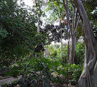 Botanischer Garten 
