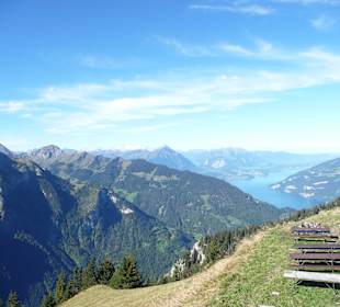 View form the Schynige Plate