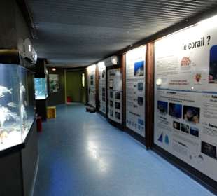 Blick in die Ausstellungsräume