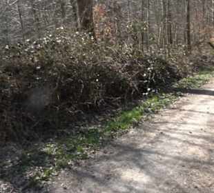 Historischer Rundwanderweg Aichtal