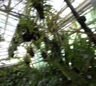 Gewächshäuser Botanischer Garten