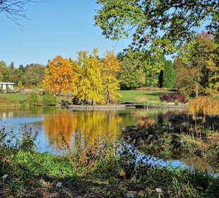 Rundgang durch den Botanischen Garten Hamburg