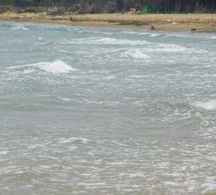 Strand von Bibione 06-2010