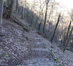 Wandertour Eppenzill