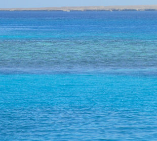 Кораллы в море